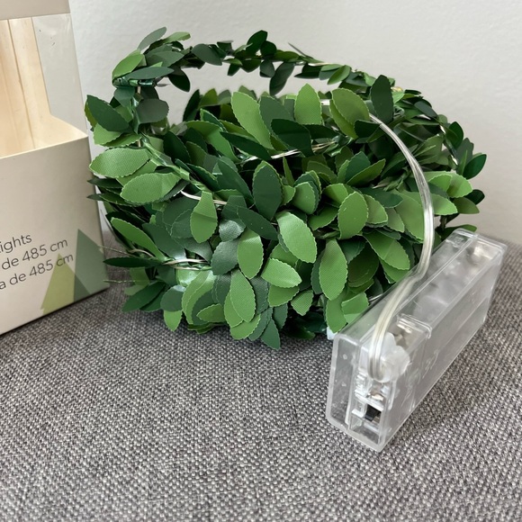 Evergreen 16’ String Lights - Picture 4 of 6